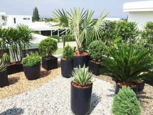 هزینه نگهداری روف گاردن چقدر است؟