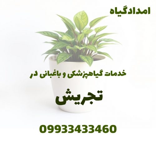 خدمات گیاهپزشکی و باغبانی در تجریش