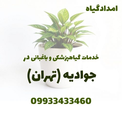 خدمات گیاهپزشکی و باغبانی در جوادیه تهران