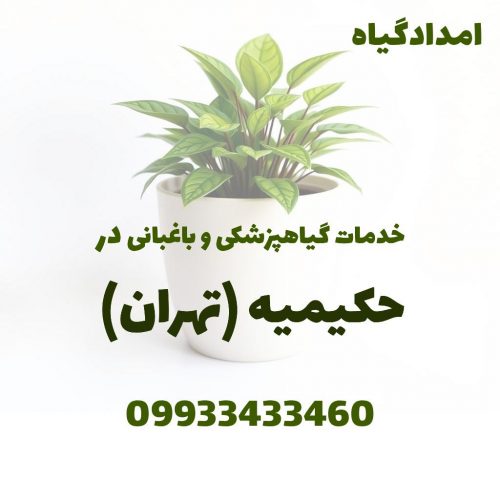 خدمات گیاهپزشکی و باغبانی در حکیمیه تهران