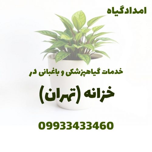 خدمات گیاهپزشکی و باغبانی در خزانه تهران