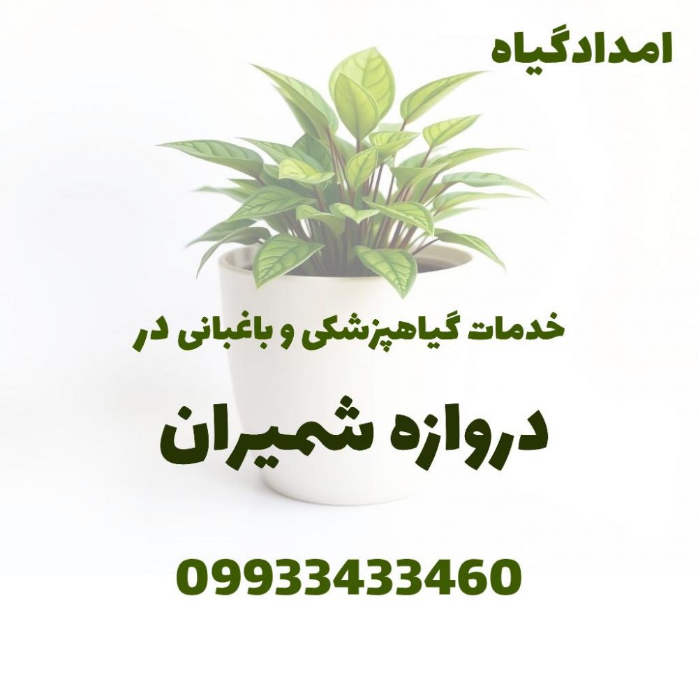 خدمات گیاهپزشکی و باغبانی در دروازه شمیران