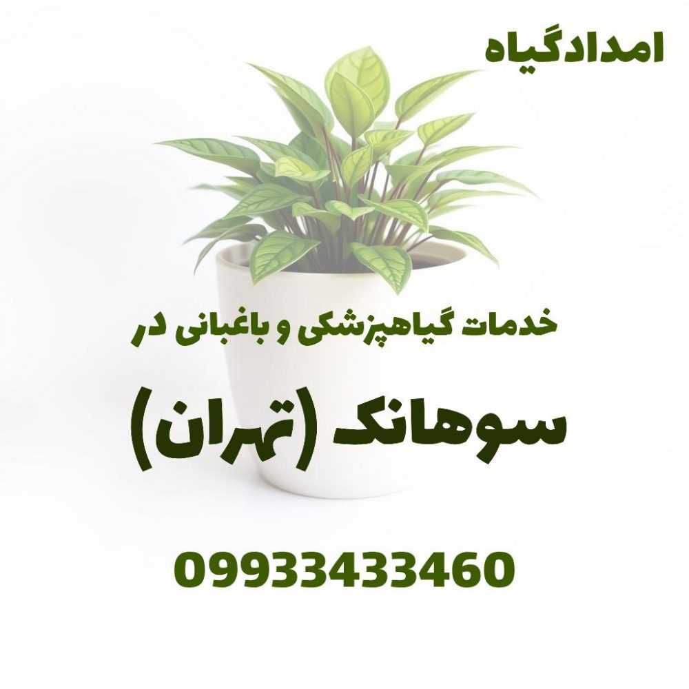 خدمات گیاهپزشکی و باغبانی در سوهانک تهران