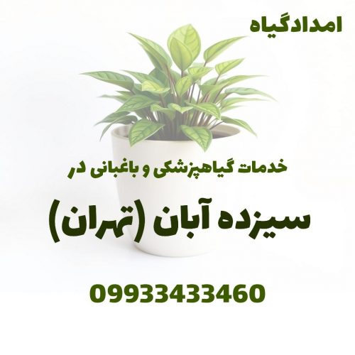 خدمات گیاهپزشکی و باغبانی در سیزده آبان تهران