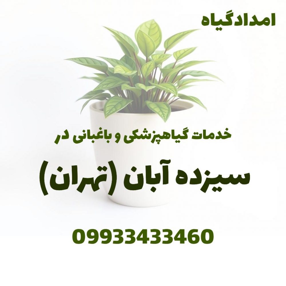 خدمات گیاهپزشکی و باغبانی در سیزده آبان تهران