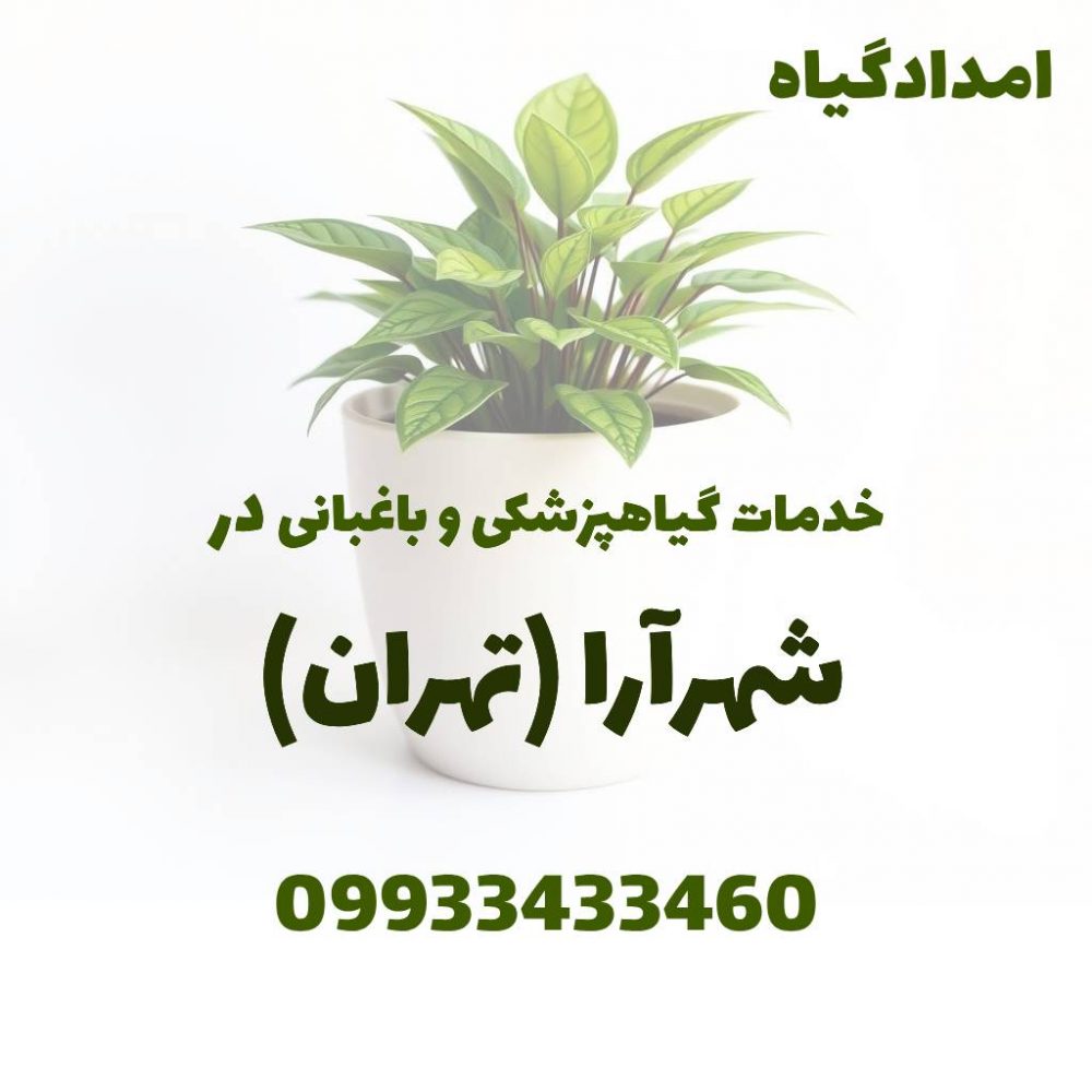 خدمات گیاهپزشکی و باغبانی در شهرآرا تهران