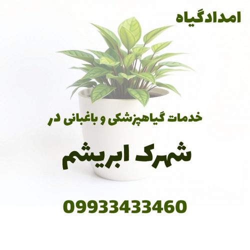 خدمات گیاهپزشکی و باغبانی در شهرک ابریشم