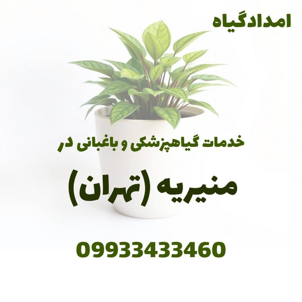 خدمات گیاهپزشکی و باغبانی در منیریه تهران