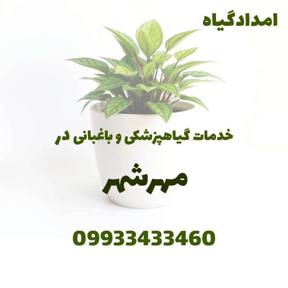 خدمات گیاهپزشکی و باغبانی در مهرشهر