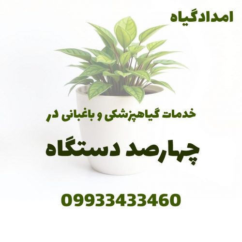 خدمات گیاهپزشکی و باغبانی در چهارصد دستگاه