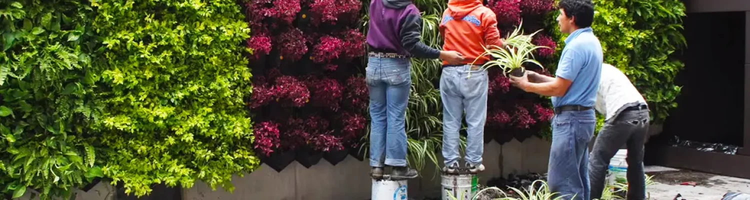 https://emdadgiyah.com/wp-content/uploads/elementor/thumbs/Vertical-Garden-r20og78ob53fgq08fh7igo7l8itjnzu6avh8ou8s68.jpg