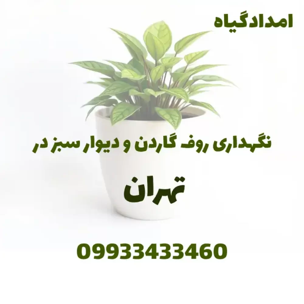 نگهداری روف گاردن و دیوار سبز در تهران