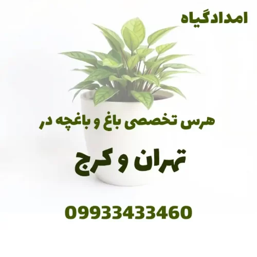 هرس تخصصی باغ و باغچه در تهران و کرج