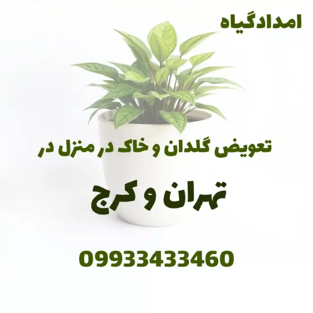 تعویض گلدان و خاک در منزل در تهران و کرج
