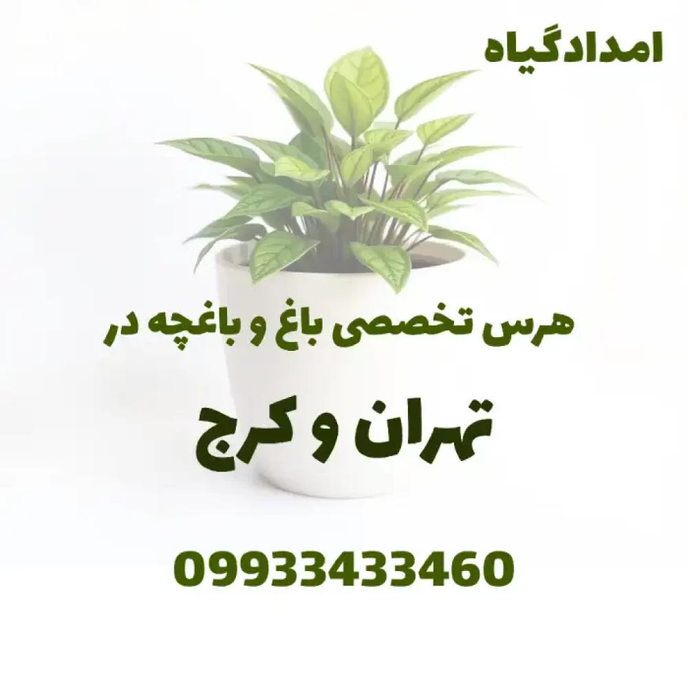 هرس تخصصی باغ و باغچه در تهران و کرج