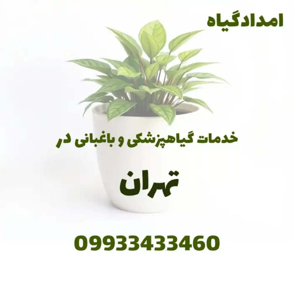 خدمات گیاهپزشکی و باغبانی در خیابان تهران
