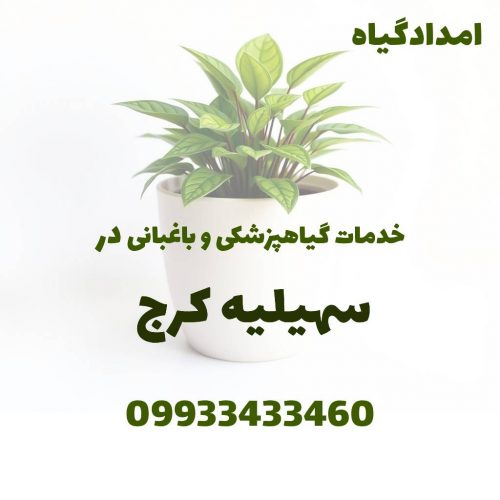 خدمات گیاهپزشکی و باغبانی در سهیلیه کرج