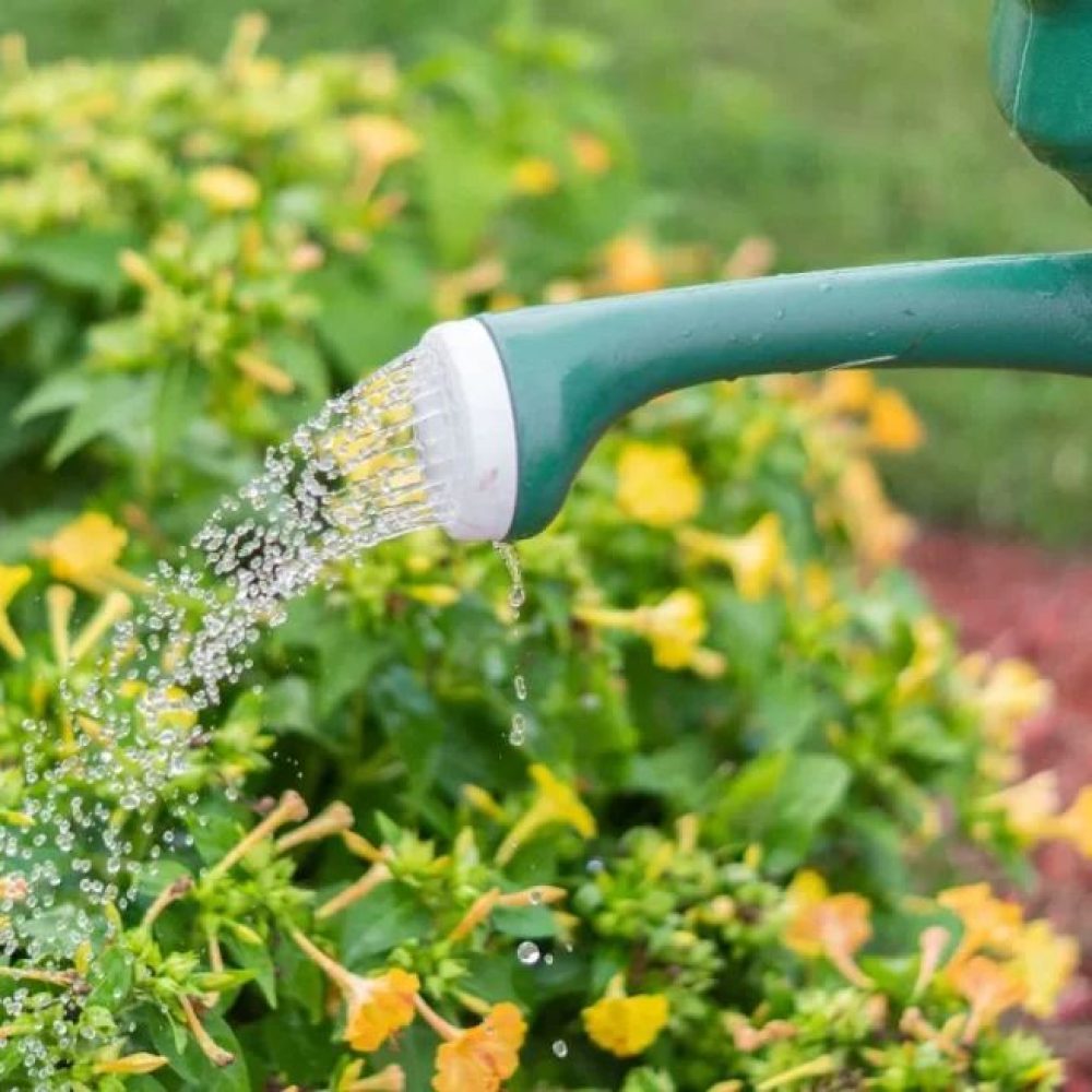 بهترین روش تشخیص زمان ابیاری گیاهان