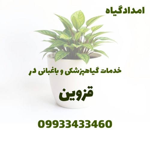 خدمات باغبانی و سم پاشی و کوددهی و هرس در قزوین