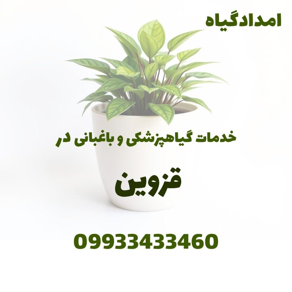 خدمات باغبانی و سم پاشی و کوددهی و هرس در قزوین