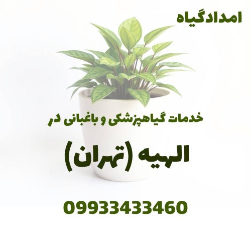 خدمات گیاهپزشکی و باغبانی در الهیه تهران