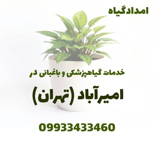 خدمات گیاهپزشکی و باغبانی در امیرآباد تهران