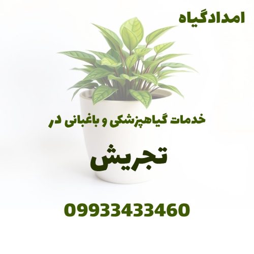 خدمات گیاهپزشکی و باغبانی در تجریش