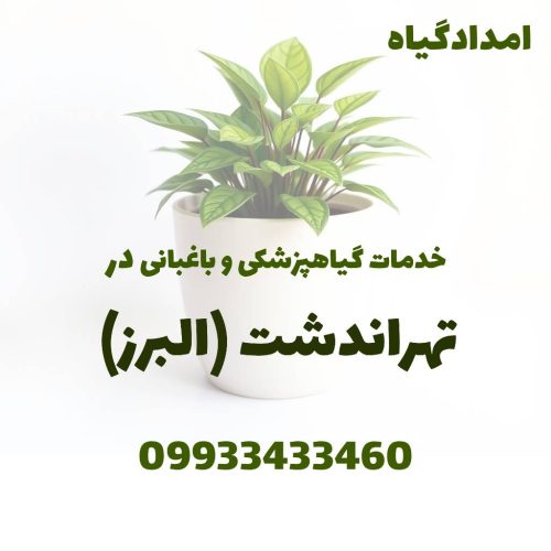 خدمات گیاهپزشکی و باغبانی در تهراندشت کرج
