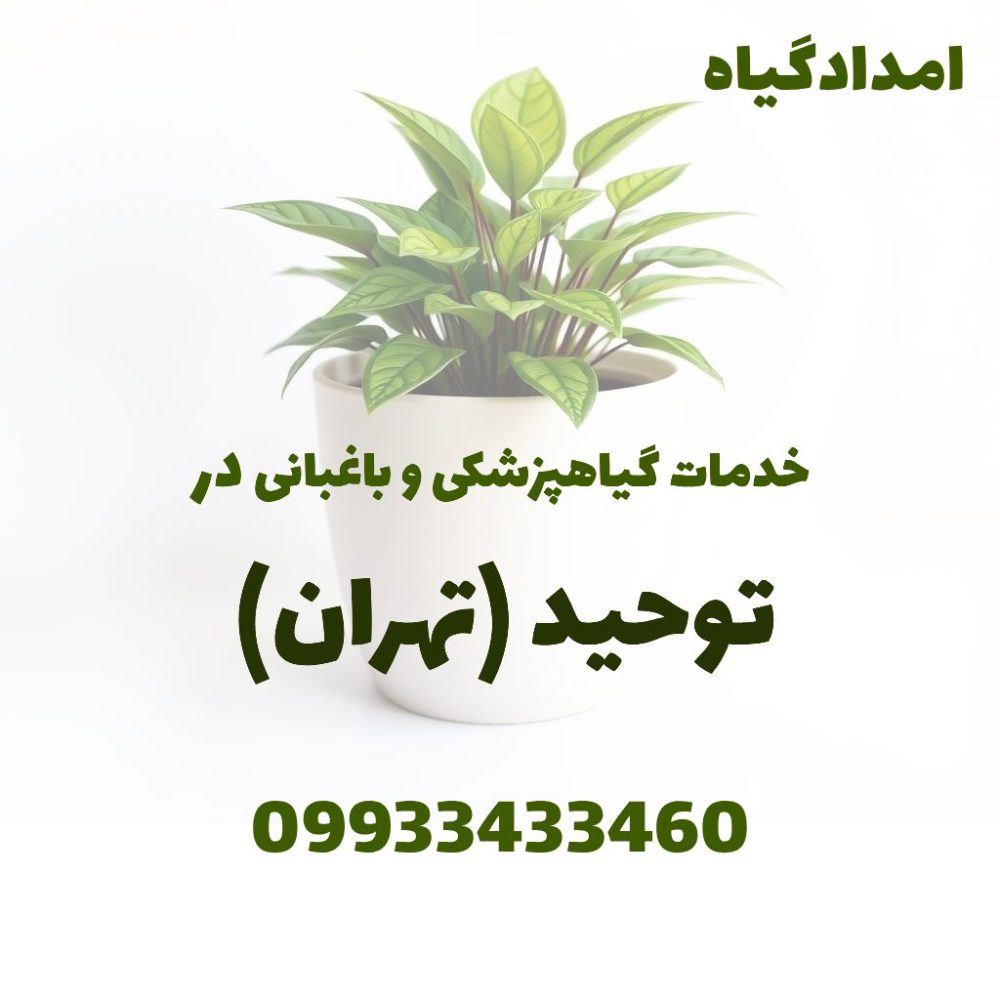 خدمات گیاهپزشکی و باغبانی در توحید