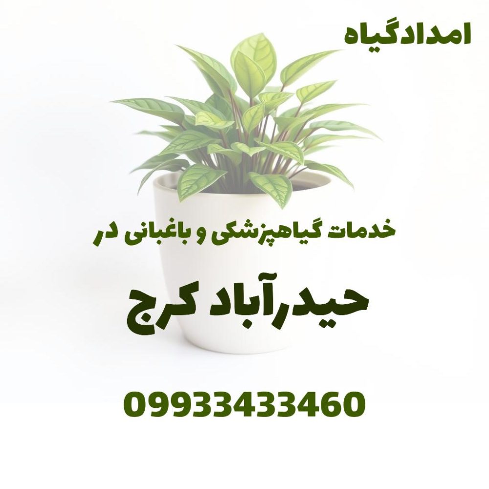 خدمات گیاهپزشکی و باغبانی در حیدرآباد