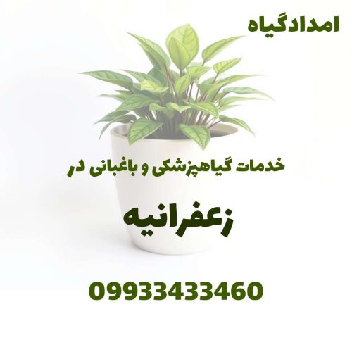 خدمات گیاهپزشکی و باغبانی در زعفرانیه
