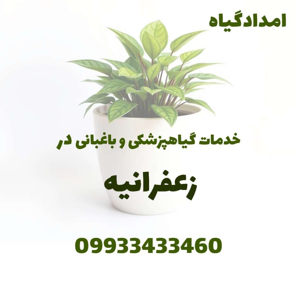 خدمات گیاهپزشکی و باغبانی در زعفرانیه