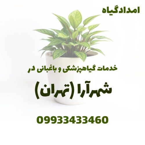 خدمات گیاهپزشکی و باغبانی در شهرآرا تهران