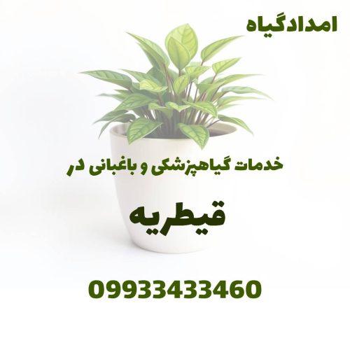 خدمات گیاهپزشکی و باغبانی در قیطریه