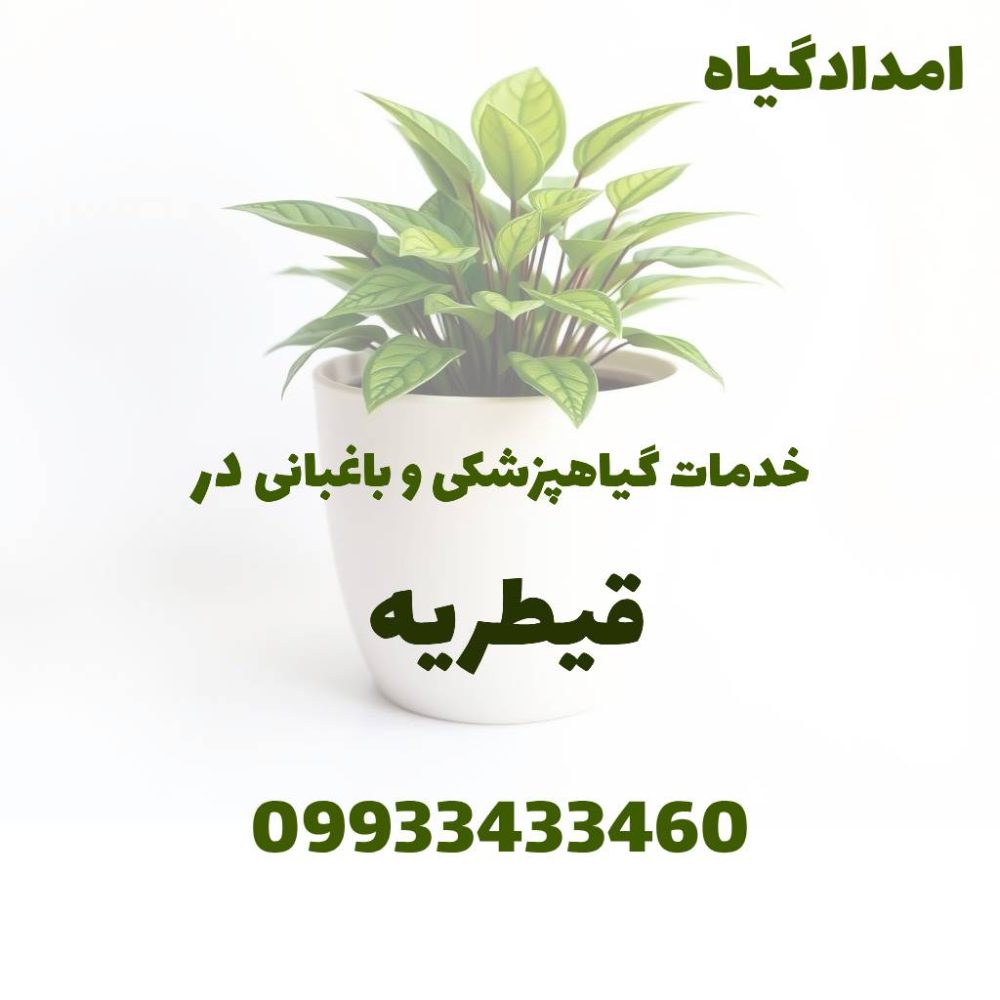 خدمات گیاهپزشکی و باغبانی در قیطریه