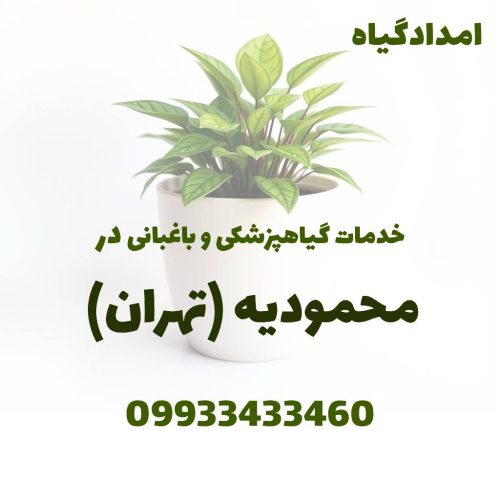 خدمات گیاهپزشکی و باغبانی در محمودیه تهران