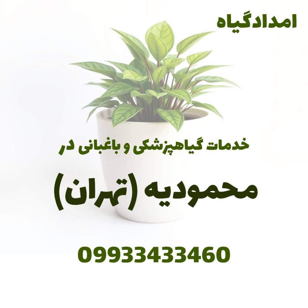 خدمات گیاهپزشکی و باغبانی در محمودیه تهران