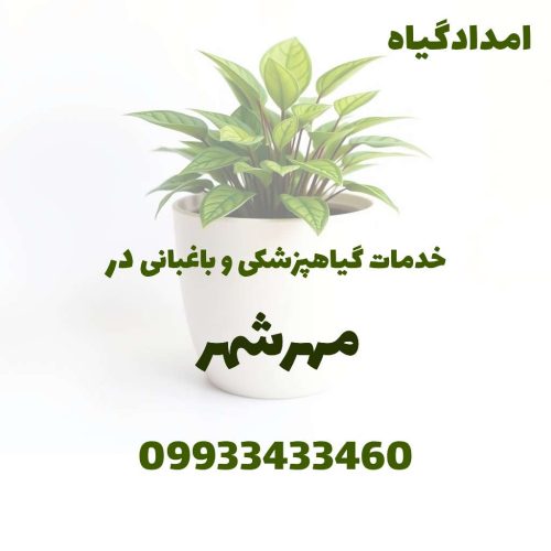 خدمات گیاهپزشکی و باغبانی در مهرشهر