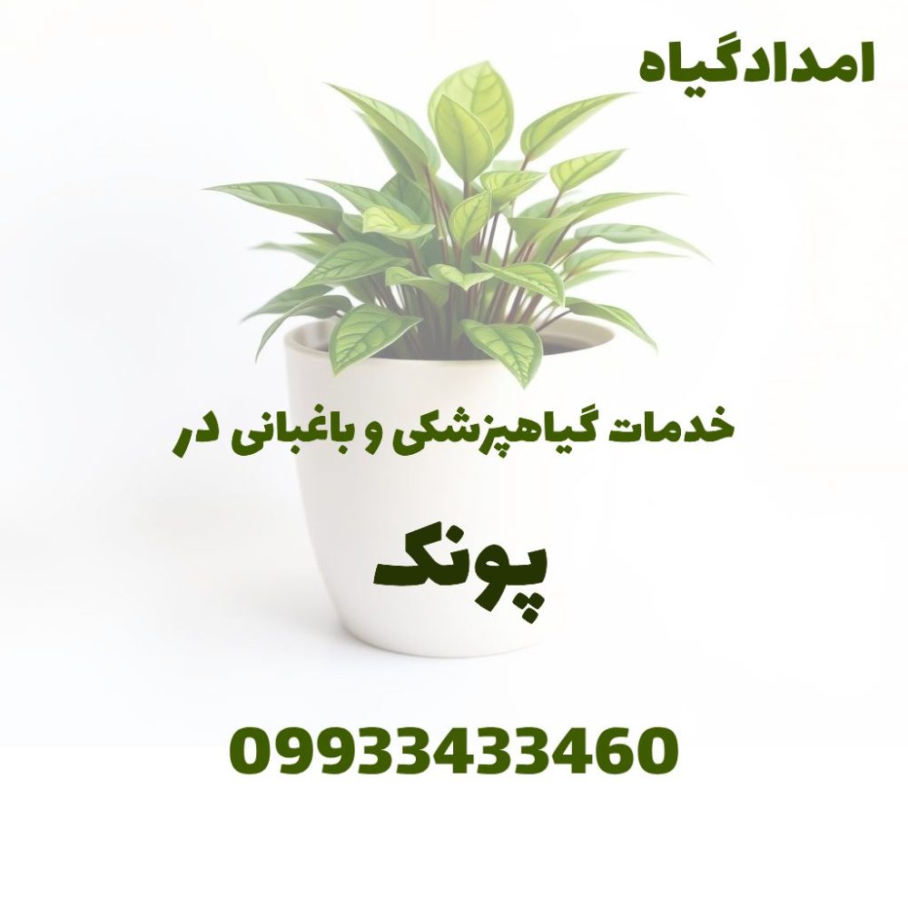 خدمات گیاهپزشکی و باغبانی در پونک