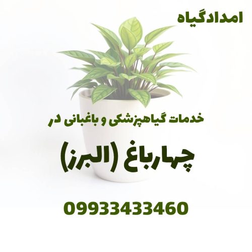 خدمات گیاهپزشکی و باغبانی در چهارباغ کرج