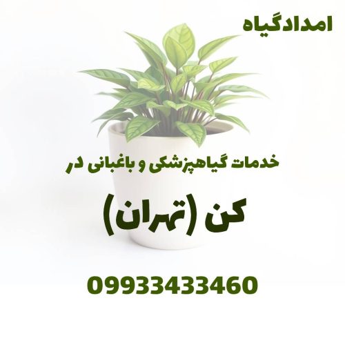 خدمات گیاهپزشکی و باغبانی در کن تهران