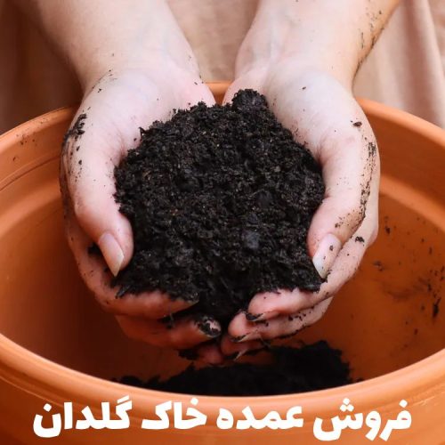 فروش عمده خاک گلدان