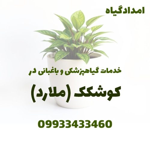 ویزیت باغ و سم‌پاشی و کوددهی و هرس در کوشکک ملارد